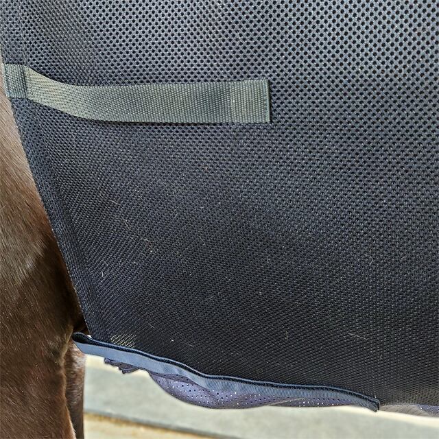 ばふんがばーふんばーふん Garden of Bang Bang 8] Understand everything in 15 minutes! A