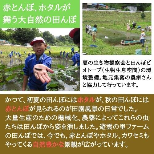 令和５年 新米 コシヒカリ 自然栽培米 玄米 20kg 阿武隈高原 遊雲の里