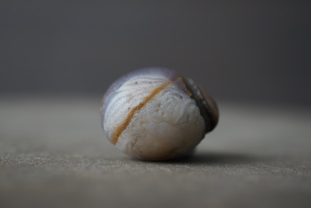 ゴビアゲート Gobi Agate 1685