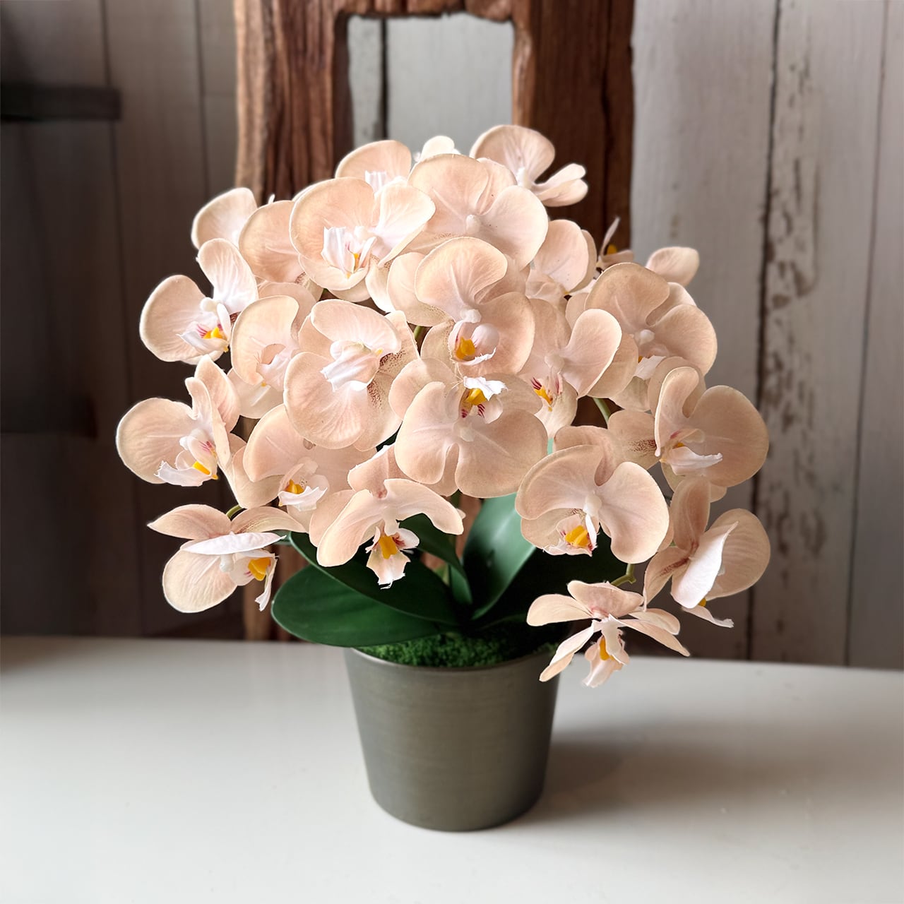 アーティフィシャルフラワー LIVING ORCHID “Peach Veil” 「光をまとう