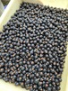 あおもりカシス1kg 　冷凍　