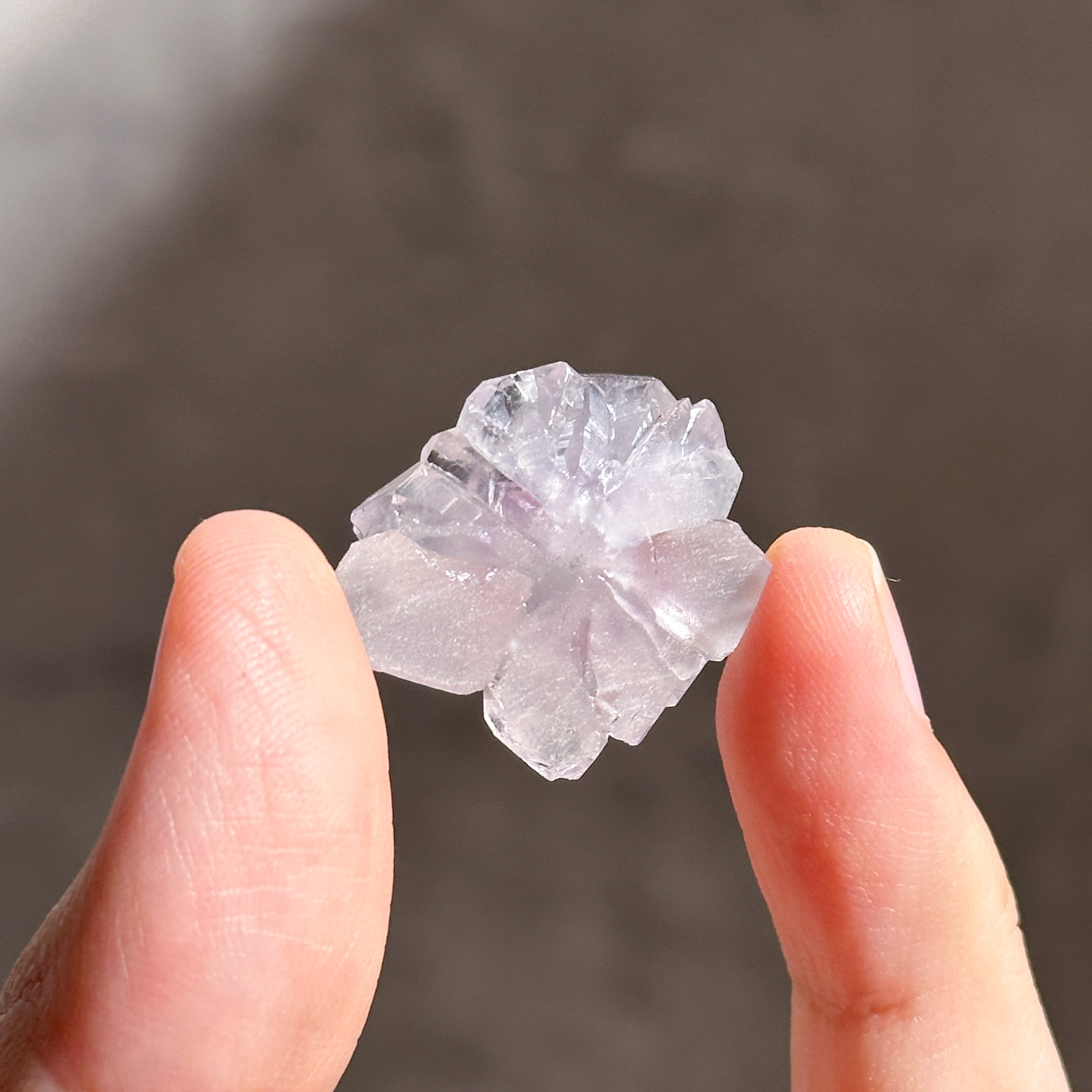 ウルグアイ産フラワーアメジスト 原石73◇ Flower Amethyst ◇天然石