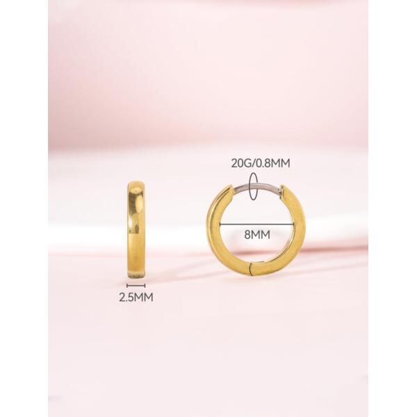 Limerencia G23 純チタン 低刺激性 ハギー フープ イヤリング 女性