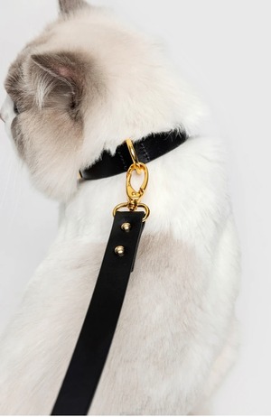 PREMIUM LEATHER LEAD　Black