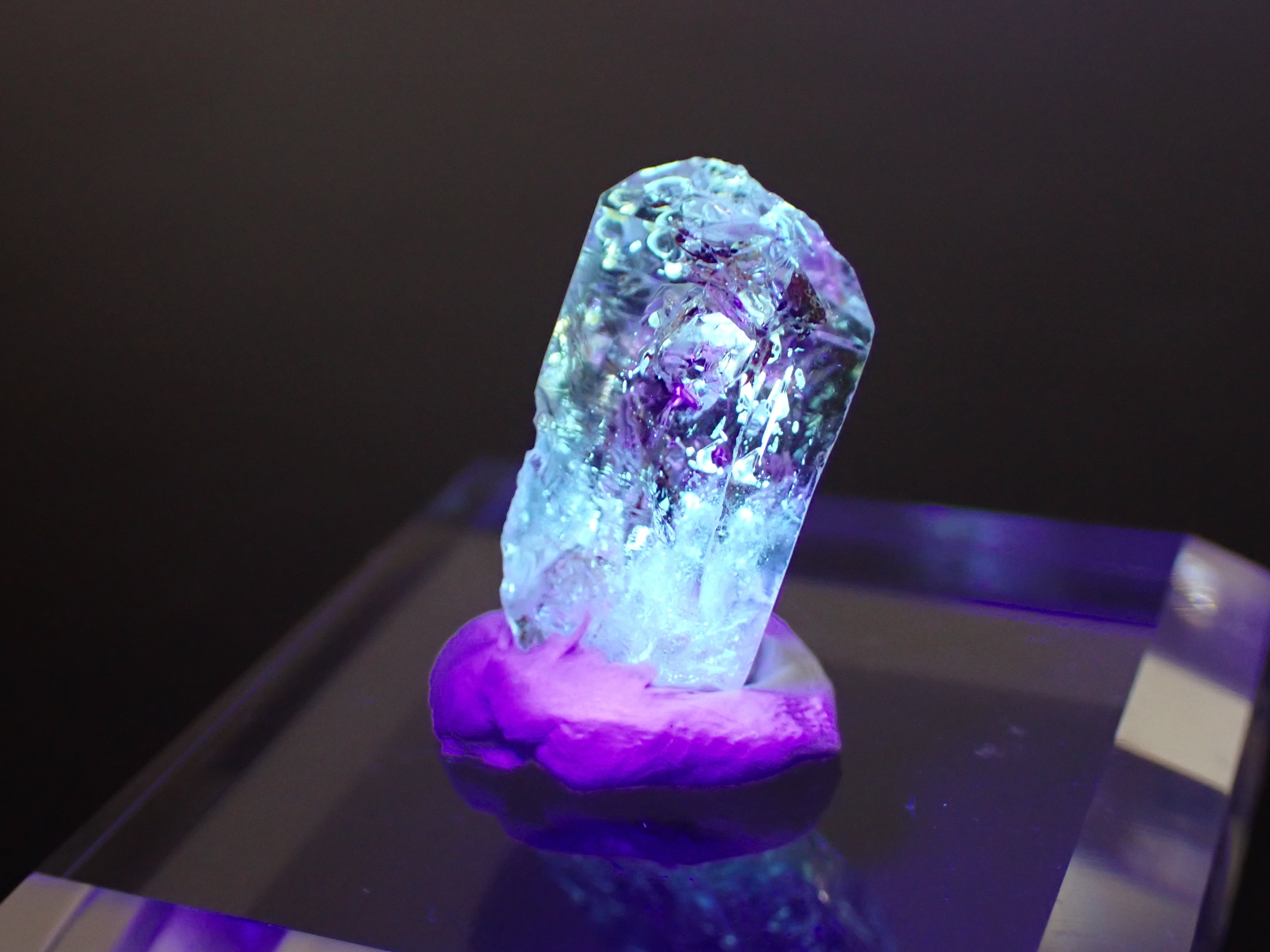 標本固定用粘土】ミネラルタック | differencee(ディファレンシー)