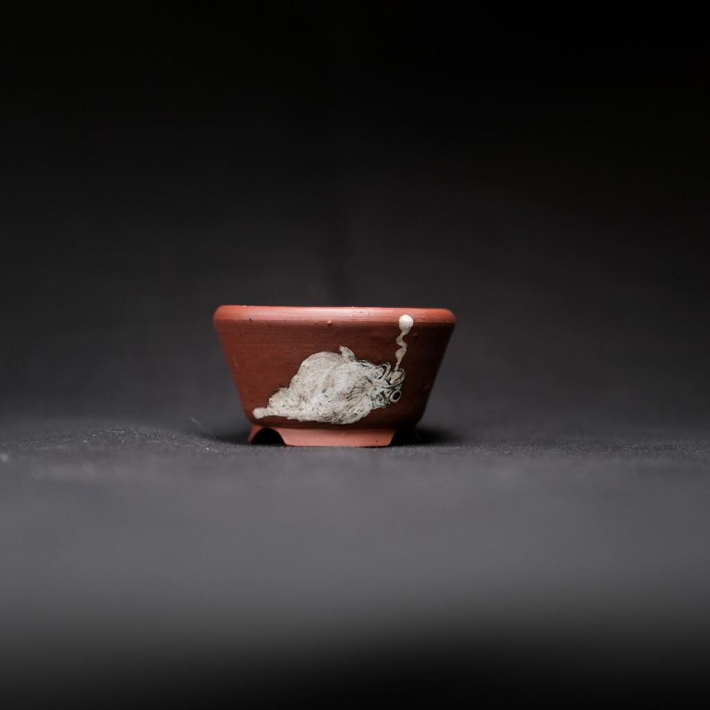 魂抜けた魚【Q鉢】 | bonsaiQ store