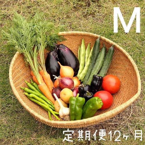 定期便＊月１回お届け12ヶ月コース【M】季節のお野菜おまかせボックスMサイズ