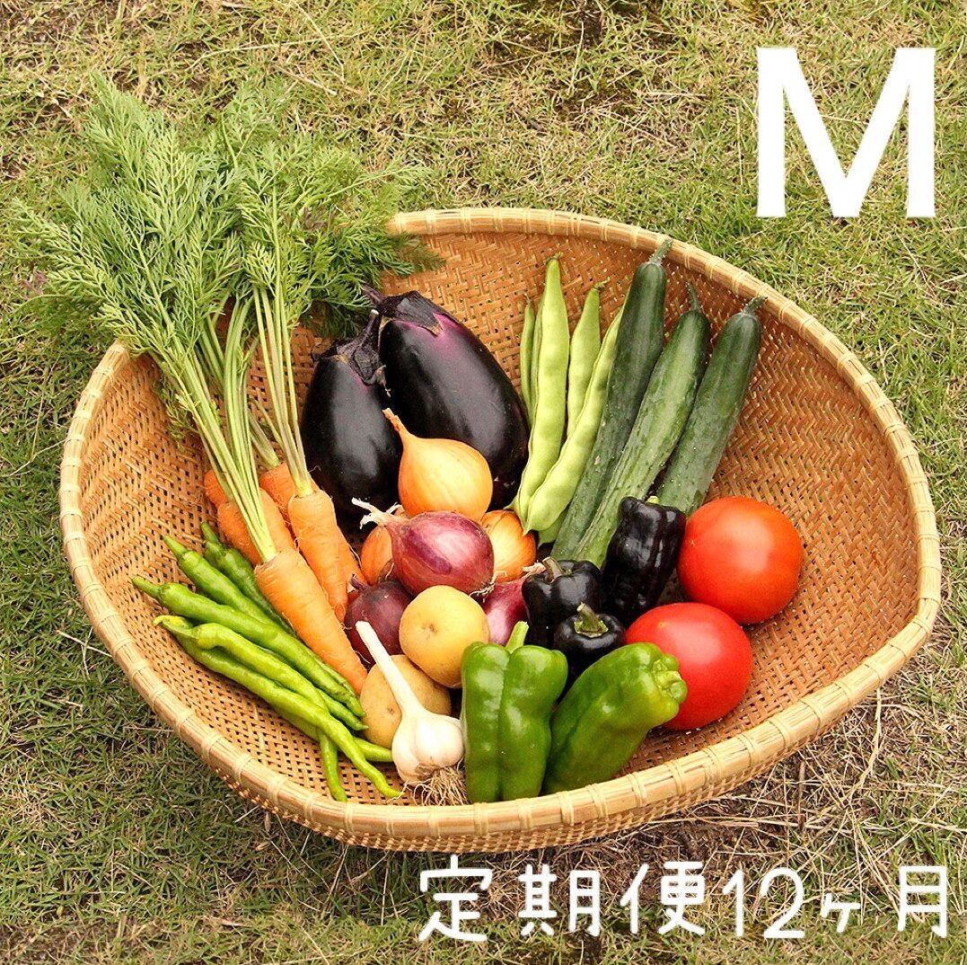 定期便＊月１回お届け12ヶ月コース【M】季節のお野菜おまかせボックスMサイズ　86farmまころパン