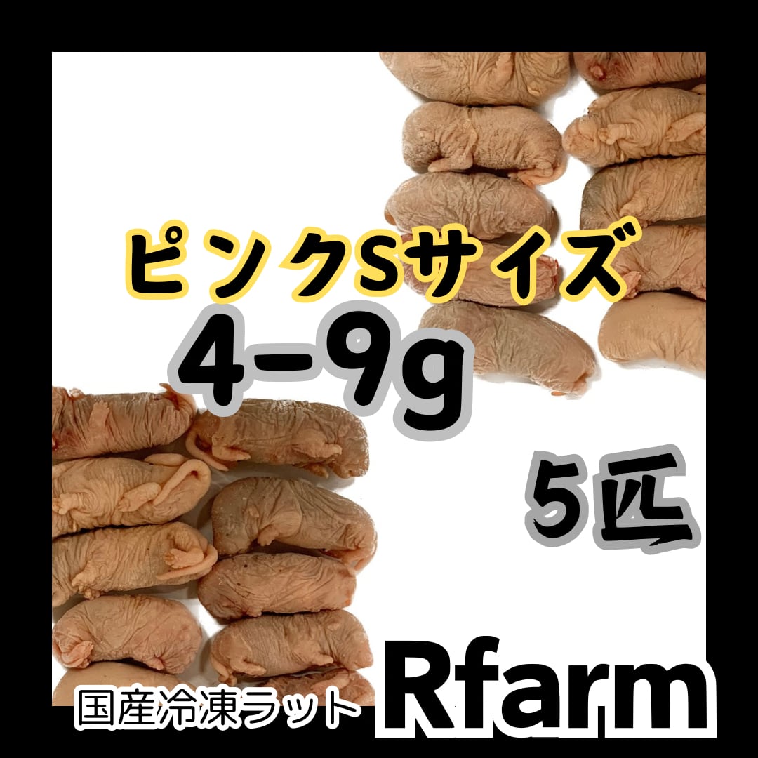 冷凍ラット 20匹セット 冷凍ラット20匹セット 【公式通販】