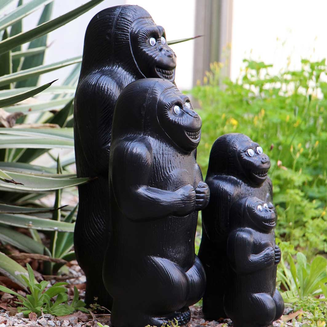 Gorilla Bank M/ゴリラ/貯金箱/インテリア/ギフト/雑貨 | SIKAKU