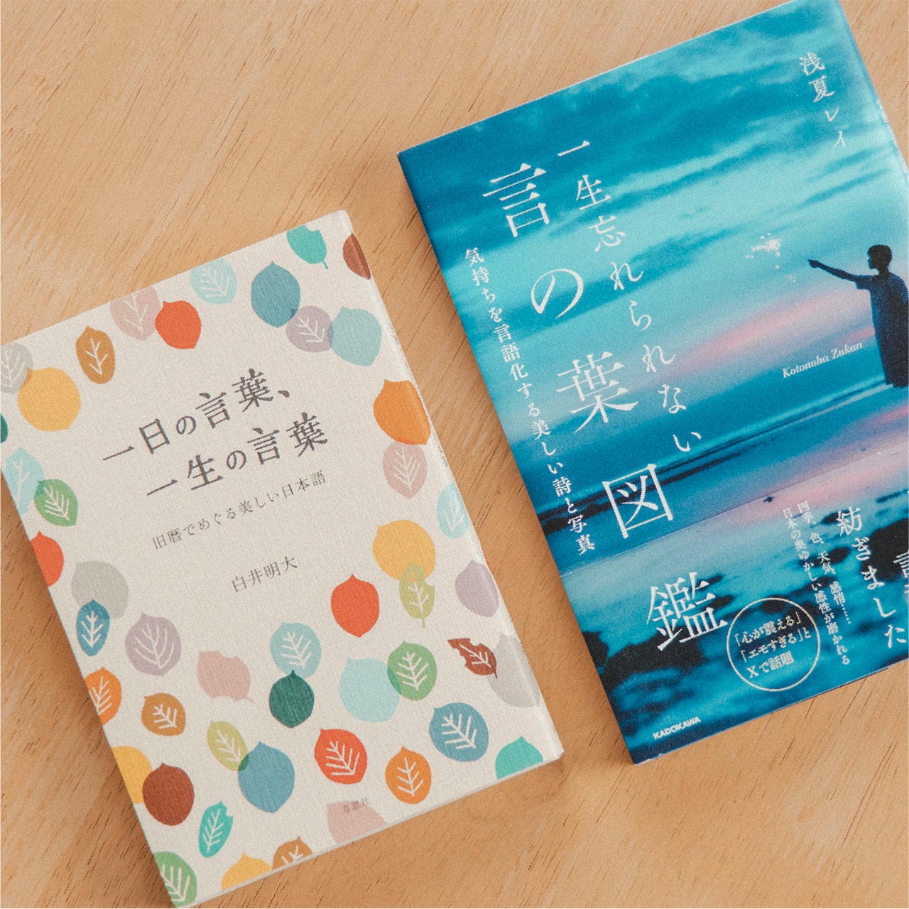 時を越えて言葉と出会うセット