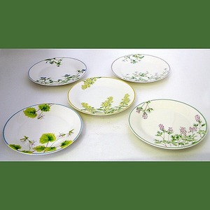 HOYA CHINA New Ivory 野草コレクション in TAMA・No.130630-06・梱包サイズ60