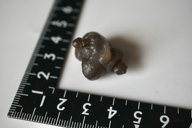 パンダアゲート Panda Agate 1579