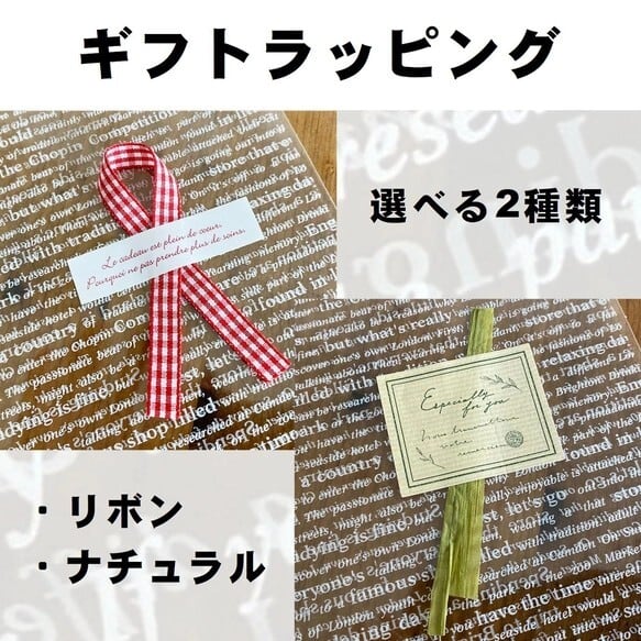 小さな苔の森−タマゴケ− 台形ポット◇コケ人気No.1の種類です | 苔