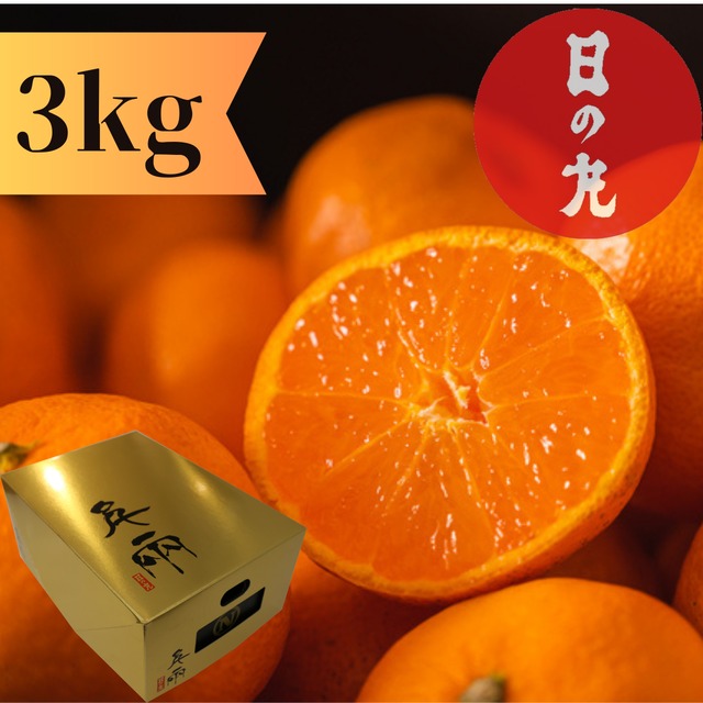 ゴールド千兩　5㎏