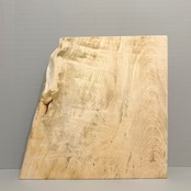 木の結婚証明書｜トチ｜No.692