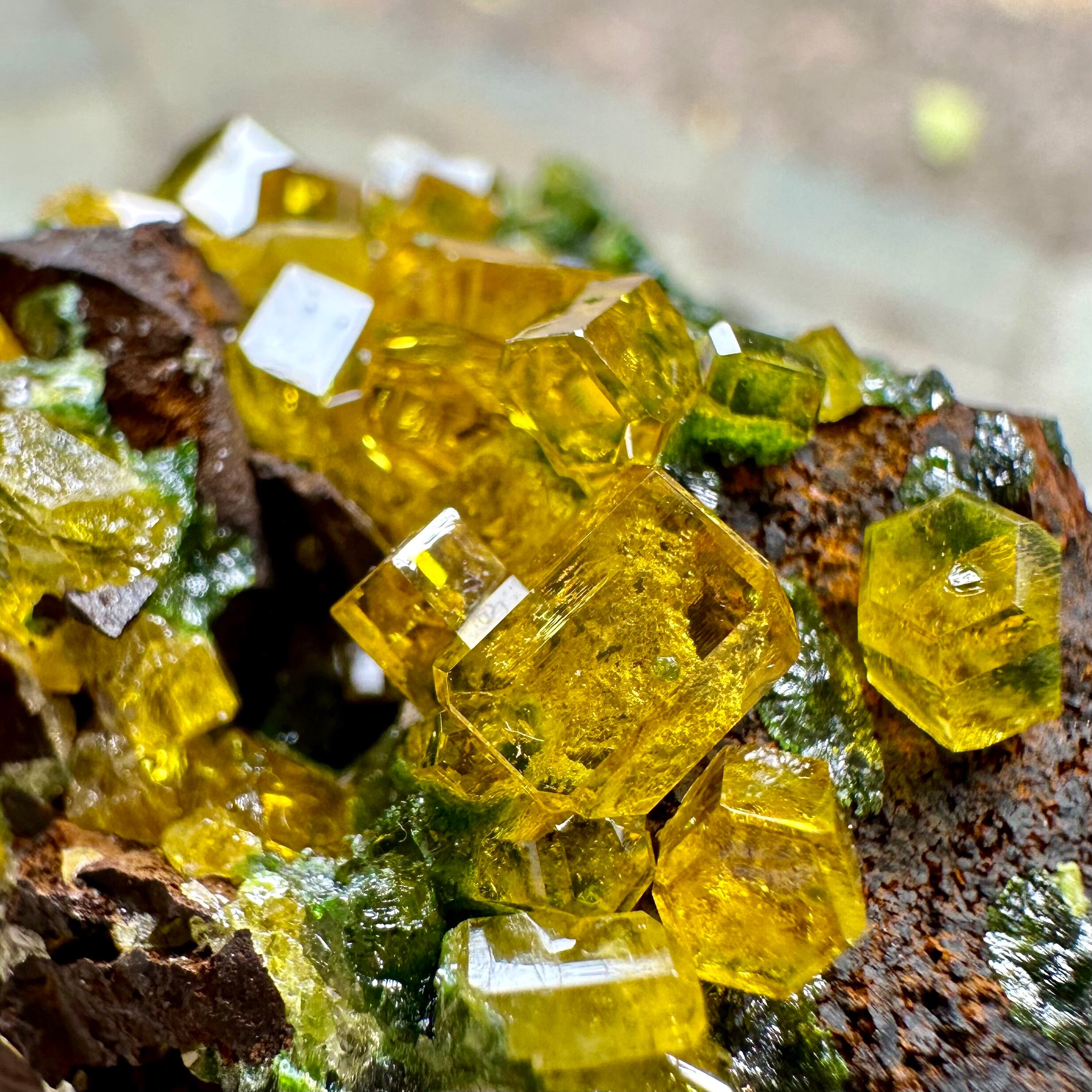 ミメタイト【Mimetite】コンゴ共和国産 | PEANUTS MINERALS