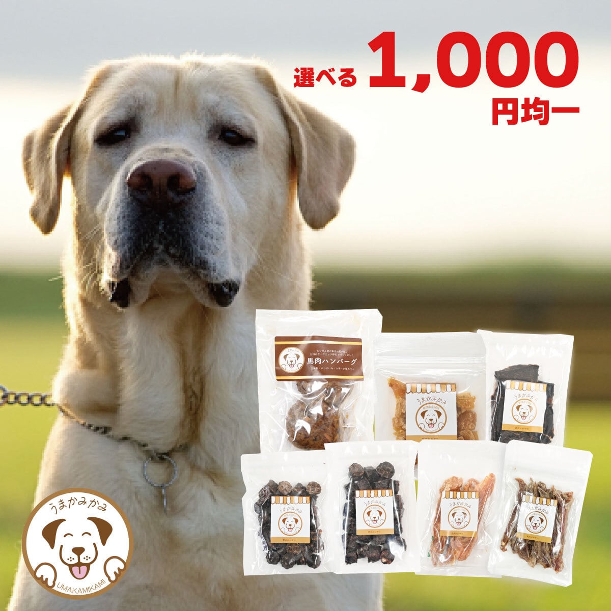 犬の無添加おやつ専門店 | 愛犬のおやつ うまかみかみ