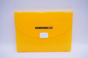 アムール カラードキュメントファイル 13ポケット 5冊セット【5カラーセット】