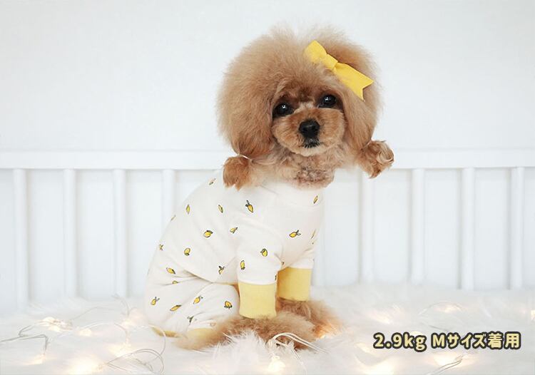 NEW CUTE ロンパース XS ~ XL 3color / 犬服 春夏 新作 ドッグウェア