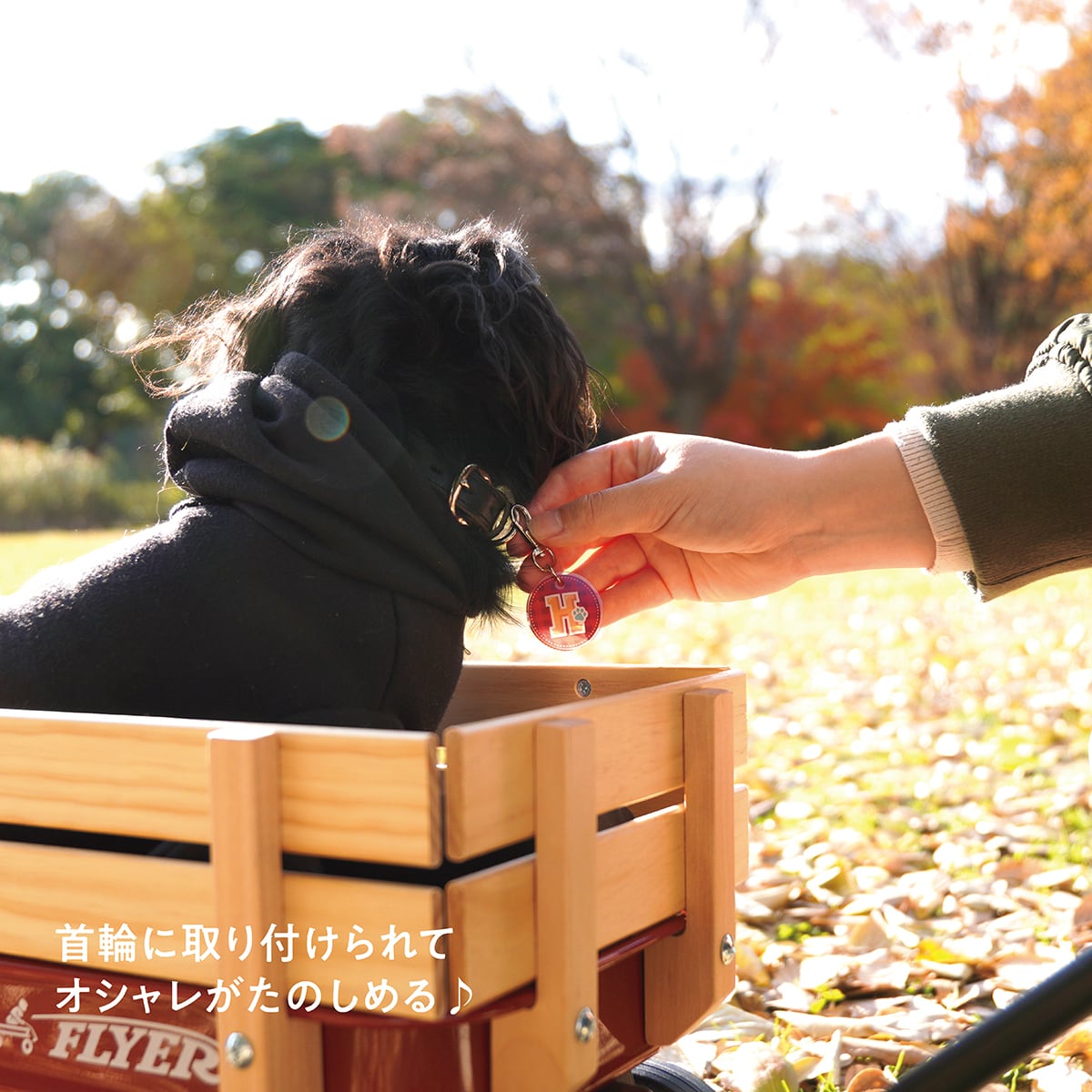 イニシャルチャーム（約3㎝） | ひまわんギャラリー | 〈オーダー