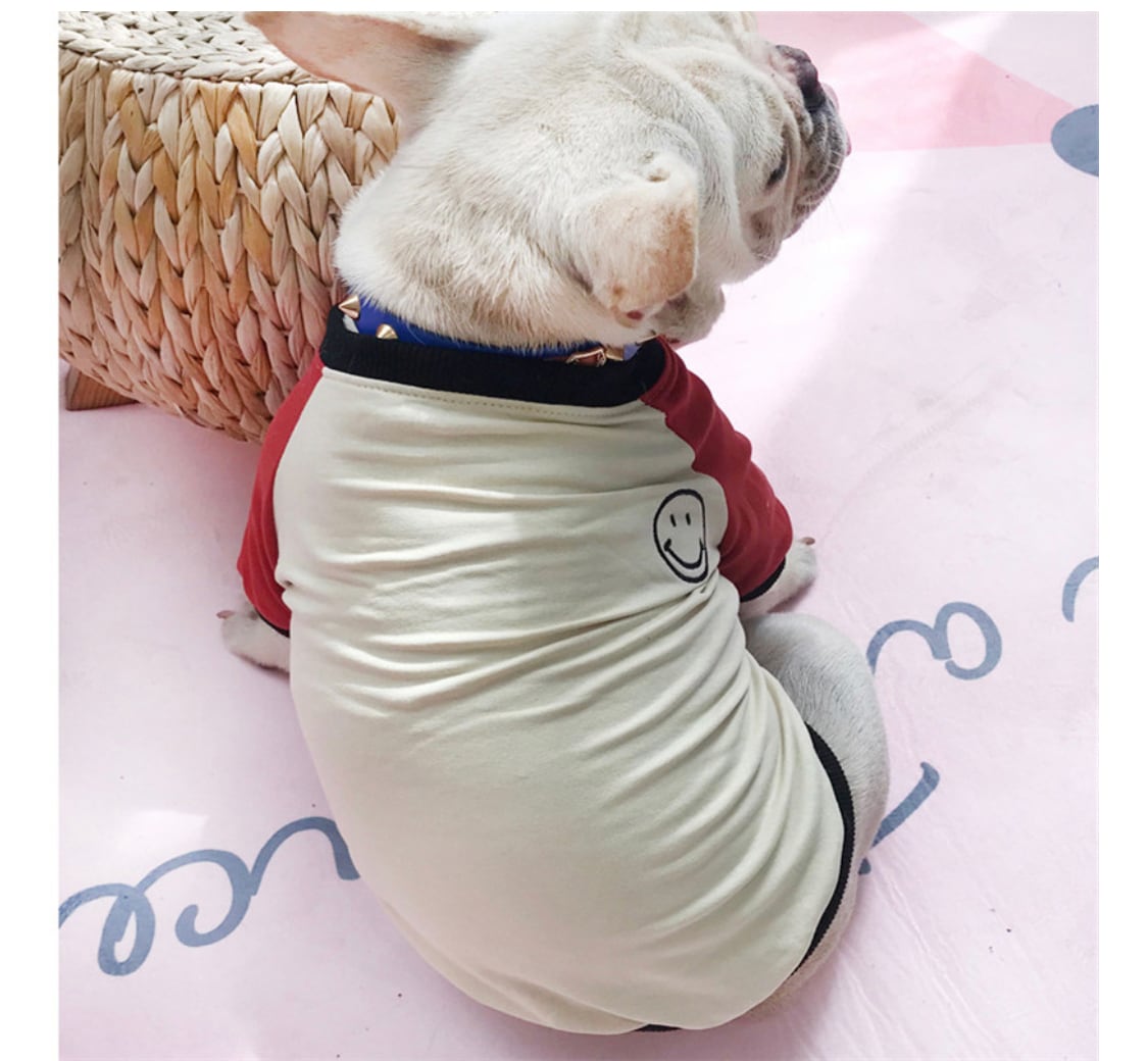 ニコちゃん カラフルロンT トップス 犬服 ドッグウェア ペット服