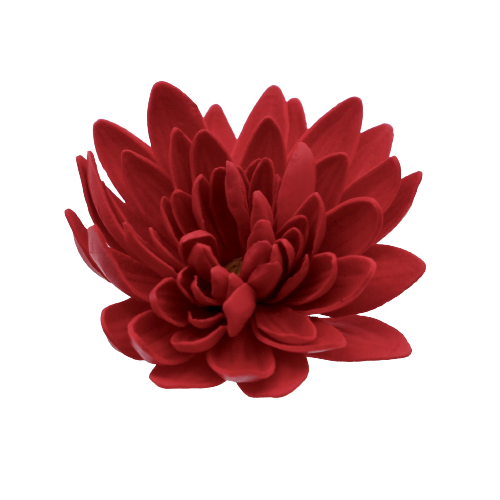 ダリアD-R1 レッド (15輪入りor25輪入り)