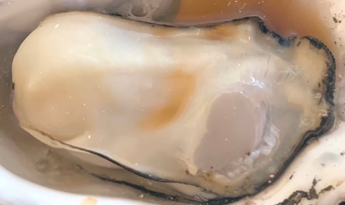 殻付き牡蠣一斗缶ナイフ付き | 能登牡蠣芝田水産 殻付き牡蠣一斗缶ナイフ付き | 能登牡蠣芝田水産