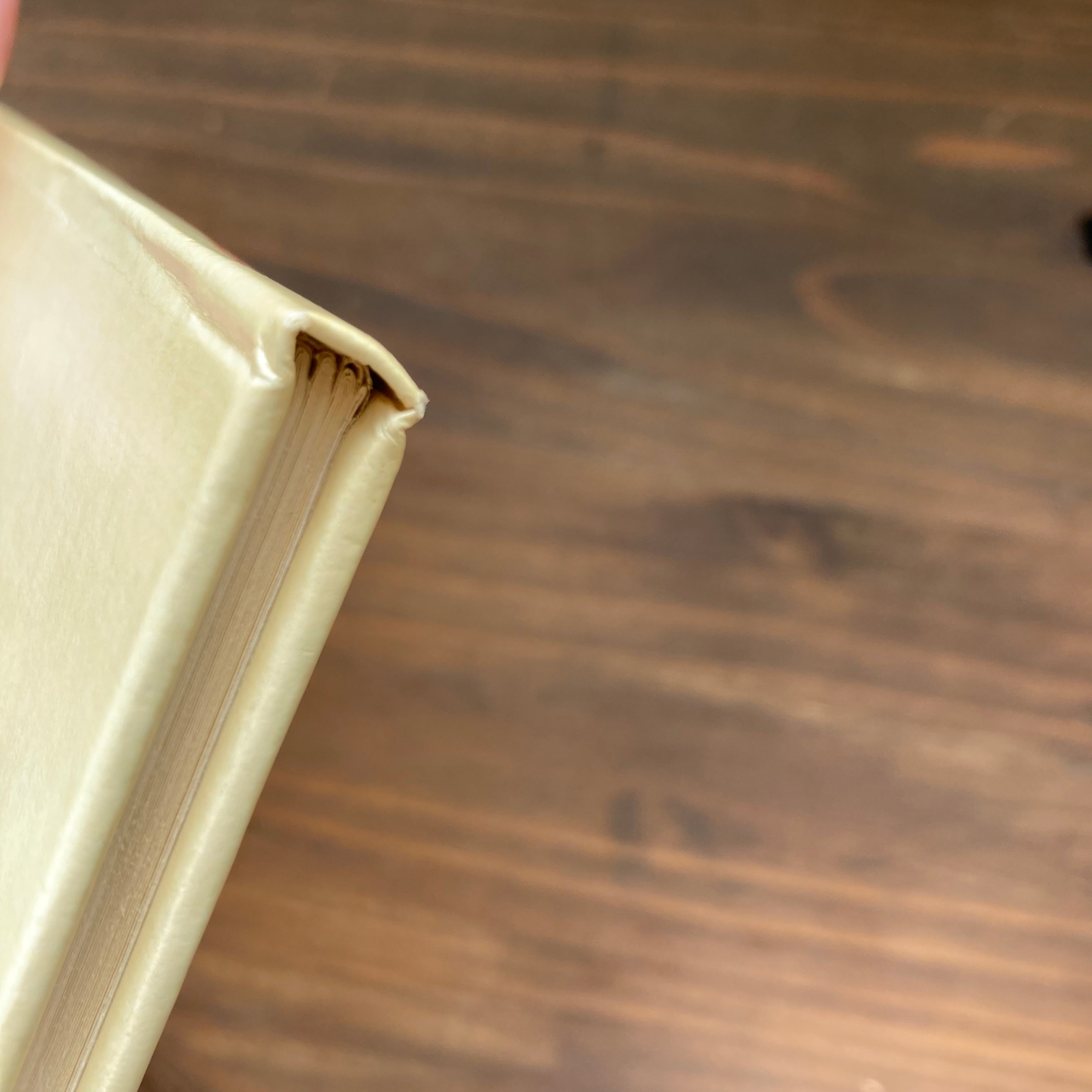 SNIPPY AND SNAPPY (スニッピ―とスナッピー)