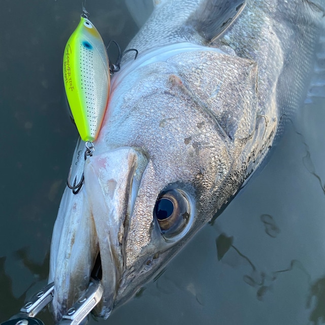 SPOONER110F/マナブラック | BariCraft バリクラフト SPOONER110F/マナブラック | BariCraft バリクラフト