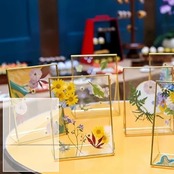 AOBOPLE 4枚厚さ2mm A4 透明アクリル板 明るいプレキシガラス板 塗装 DIY制作 耐久性 保護フィルム付き アクリルケース 棚板 コレクションケース製作 (297*210mm, 透明クリア)