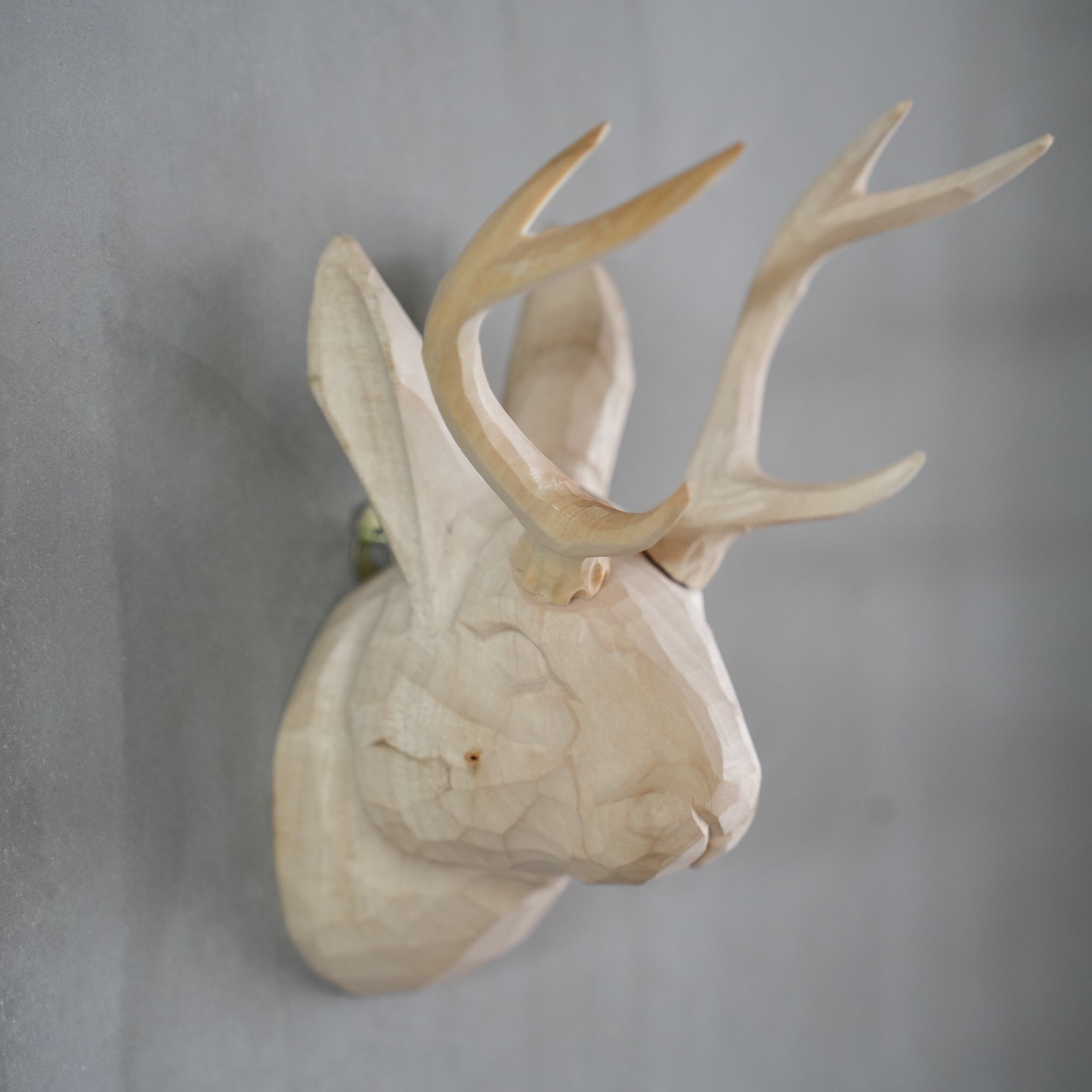 Wood Animal Head / Jackalope LAND Lifestyle Shop