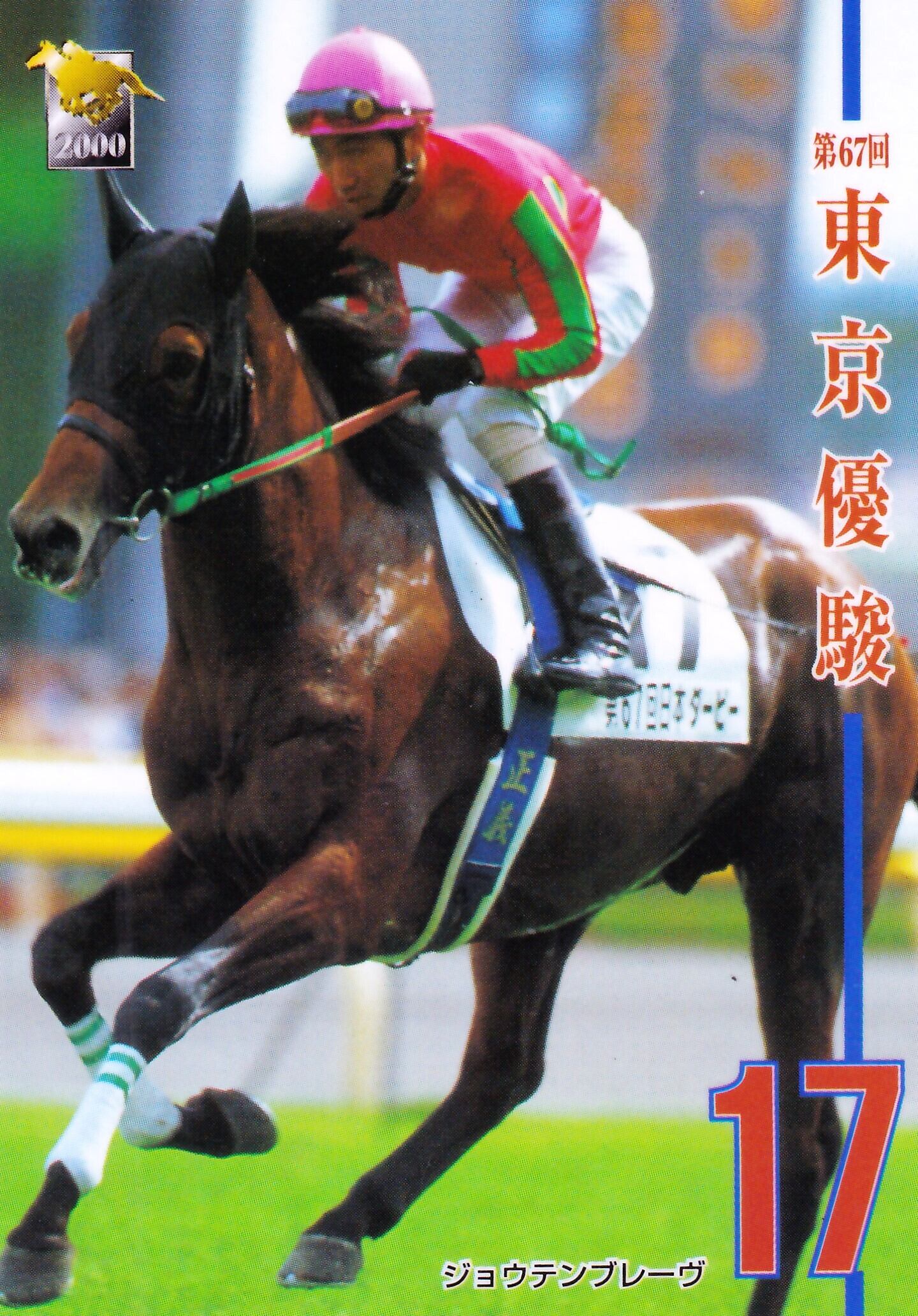 ジョウテンブレーヴ：第67回 東京優駿(日本ダービー)出走馬
