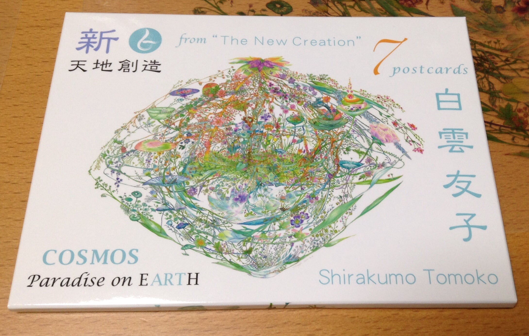 地上の楽園コスモス』白雲友子