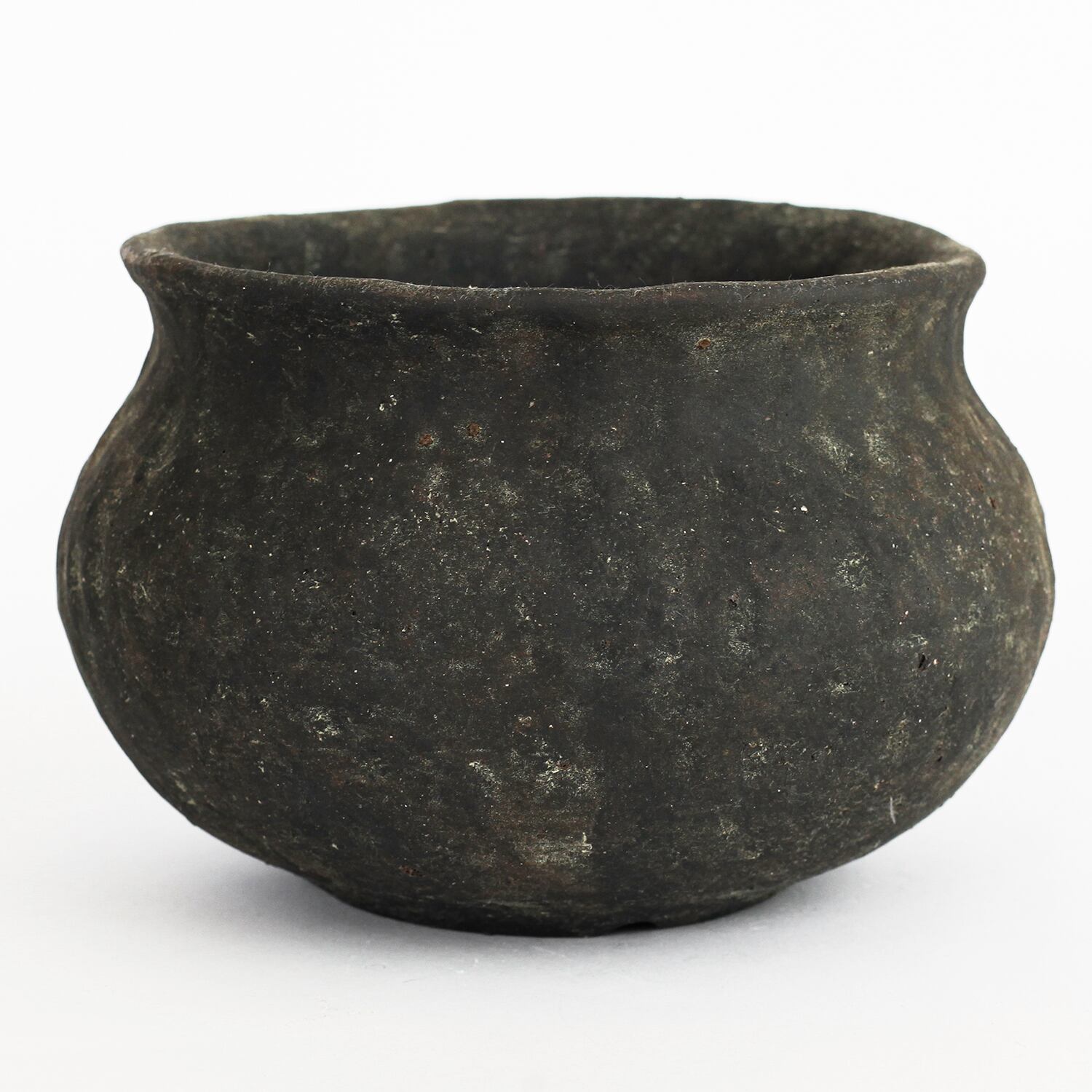 Plants Pot -XXL- (水谷智美) S | amane-official