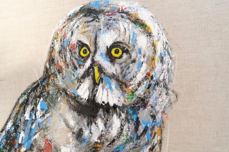 owl / フクロウ / 梟の現代アート作品 絵画販売 | TOMOYA GALLERY STORE