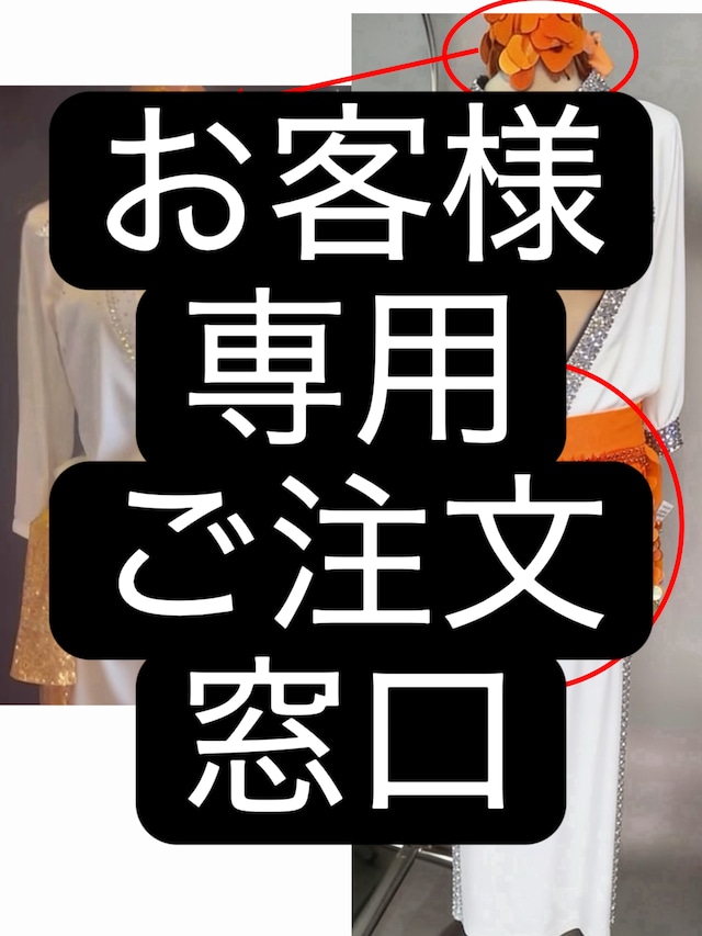 お客様専用　ご注文窓口　ベリーダンス 　バラディオーダーメイド衣装　LY 1913 202207