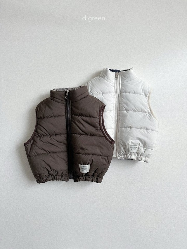 digreen25wn_Reversible Vest