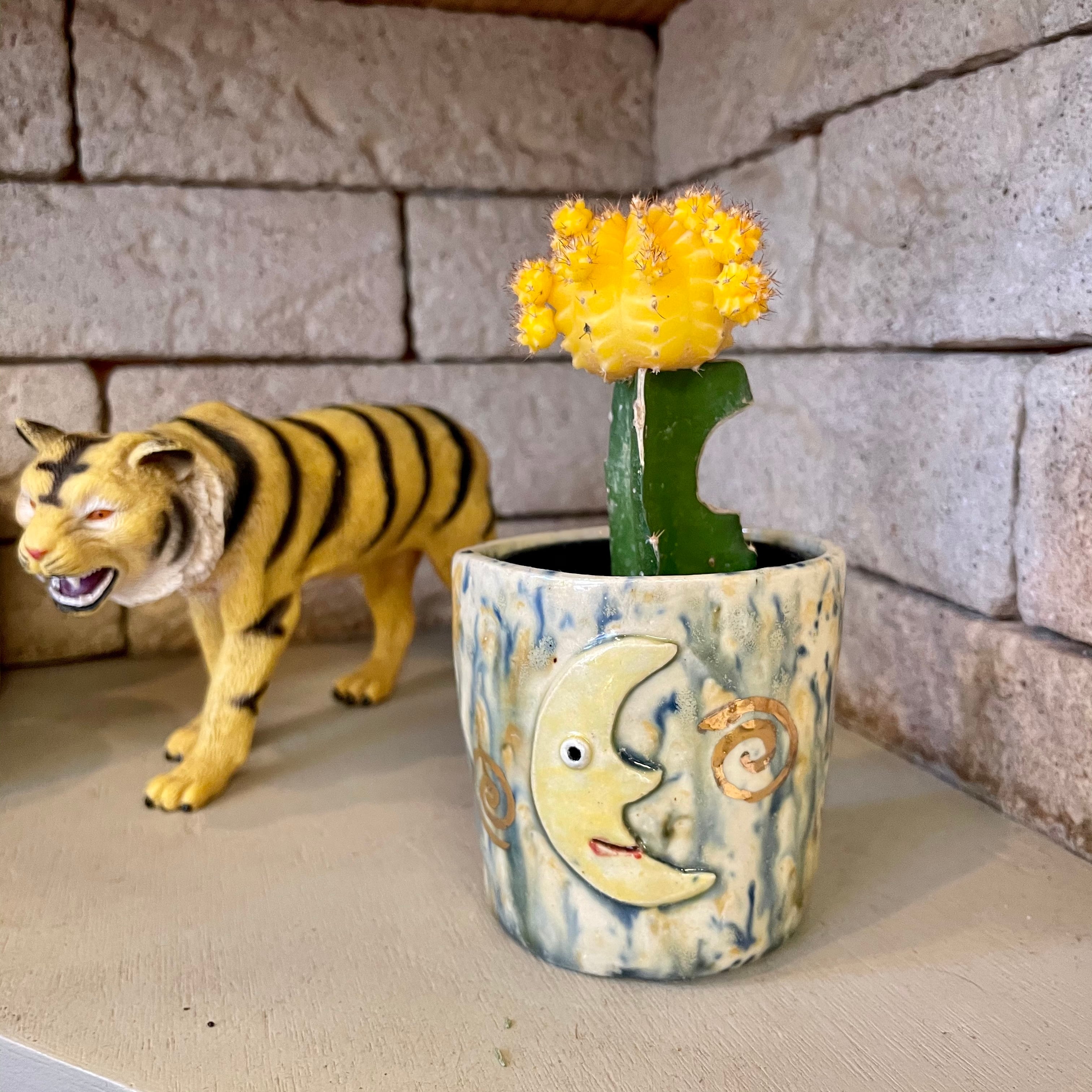 Koyomi Yanagimoto moonflower pot | ハルカゼフラワー
