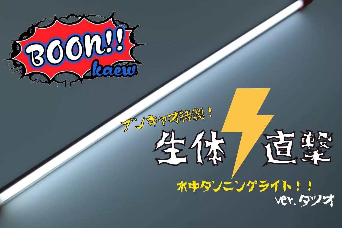 ブンキャオ水中ライト1500用 ブンキャオ水中ライト1500用