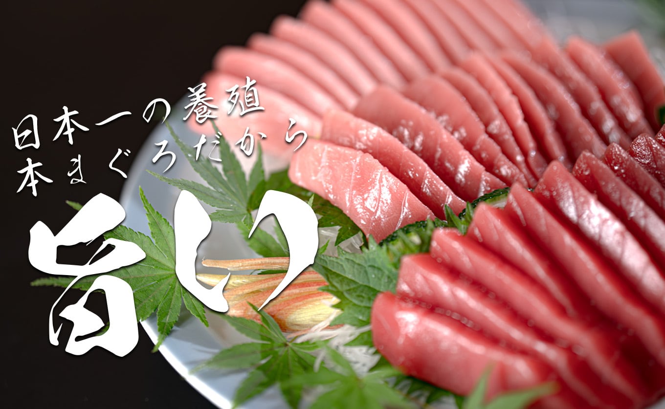 日本一の本まぐろ 最優秀賞受賞 赤身・中トロ・大トロ 3種 各1柵 計
