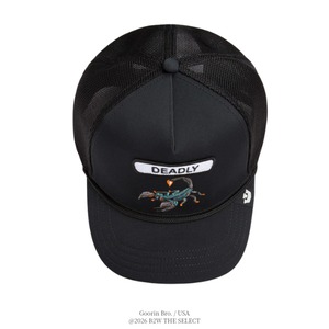 Goorin Bros.  GB2 Deadly Scorp VOID