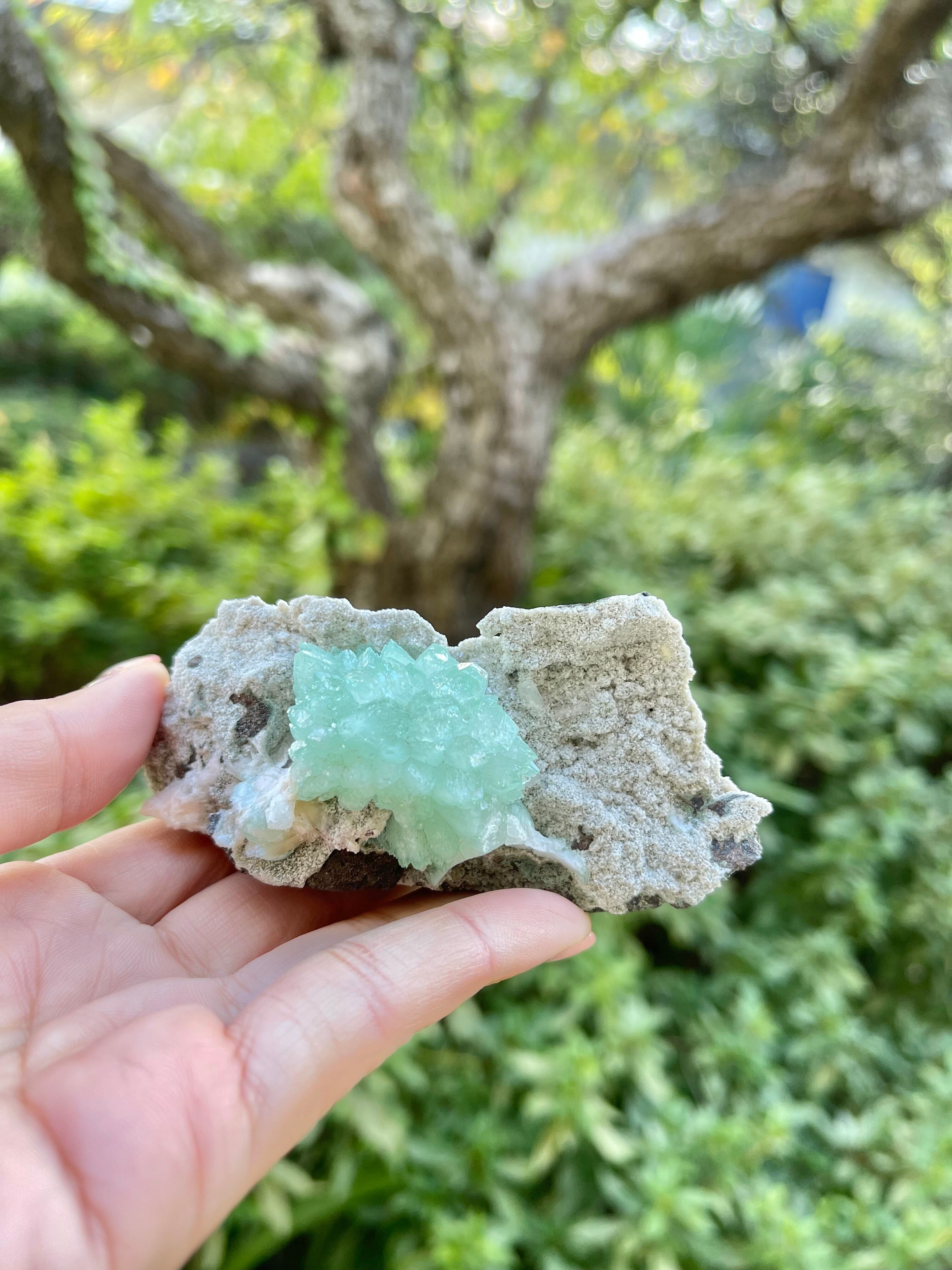 エクストラグレード　グリーンアポフィライト　No.01