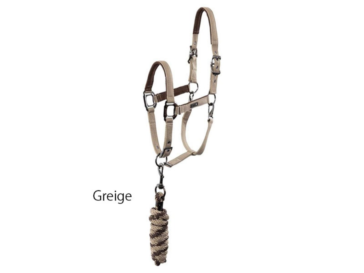 ANKY® Halter & Lead（ホルター＆リード） Horse Riding Equipment shop Millet Story
