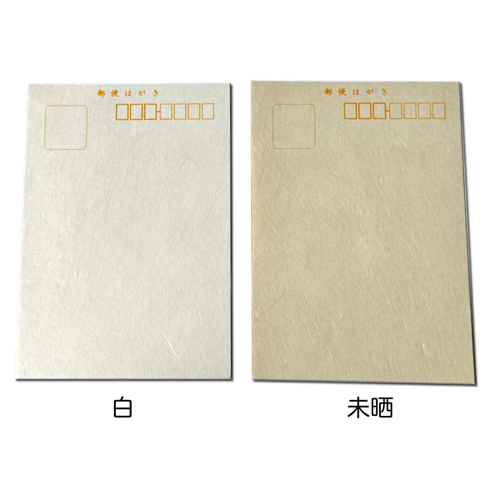 山根はがき 10枚入（白・未晒） | 玉林堂 オンラインショップ