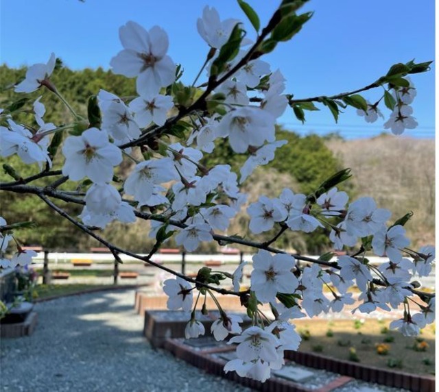 ペット遺骨の埋葬供養　【宮城県限定】