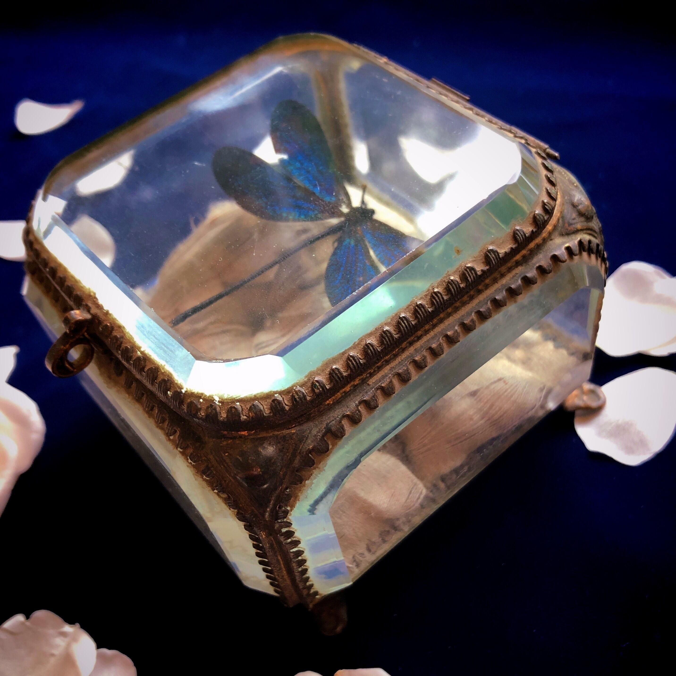 みゃあ様　宝石箱　破損品確認写真 みゃあ様 宝石箱 破損品確認写真