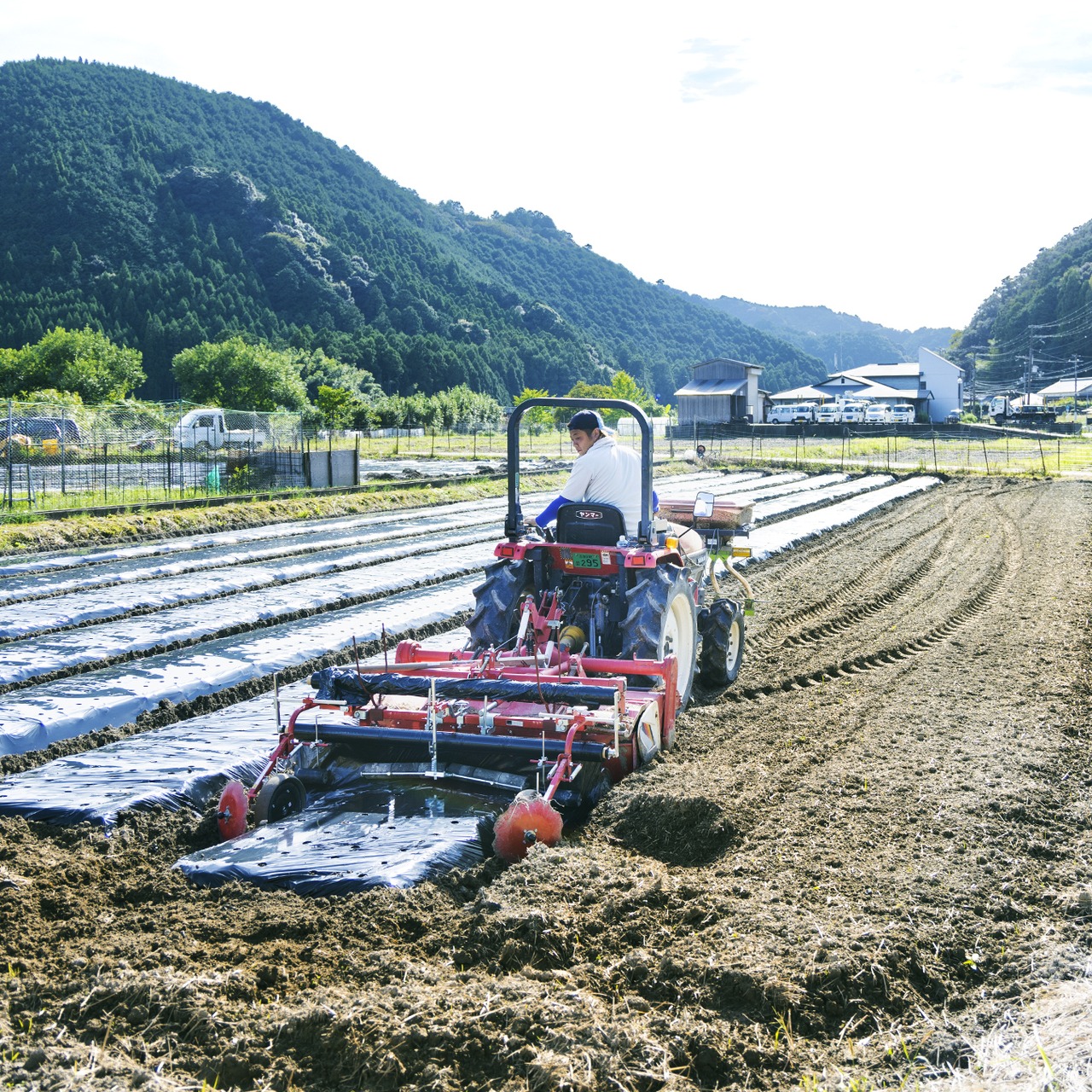 にんにく1kg(農薬・化学肥料・除草剤不使用)