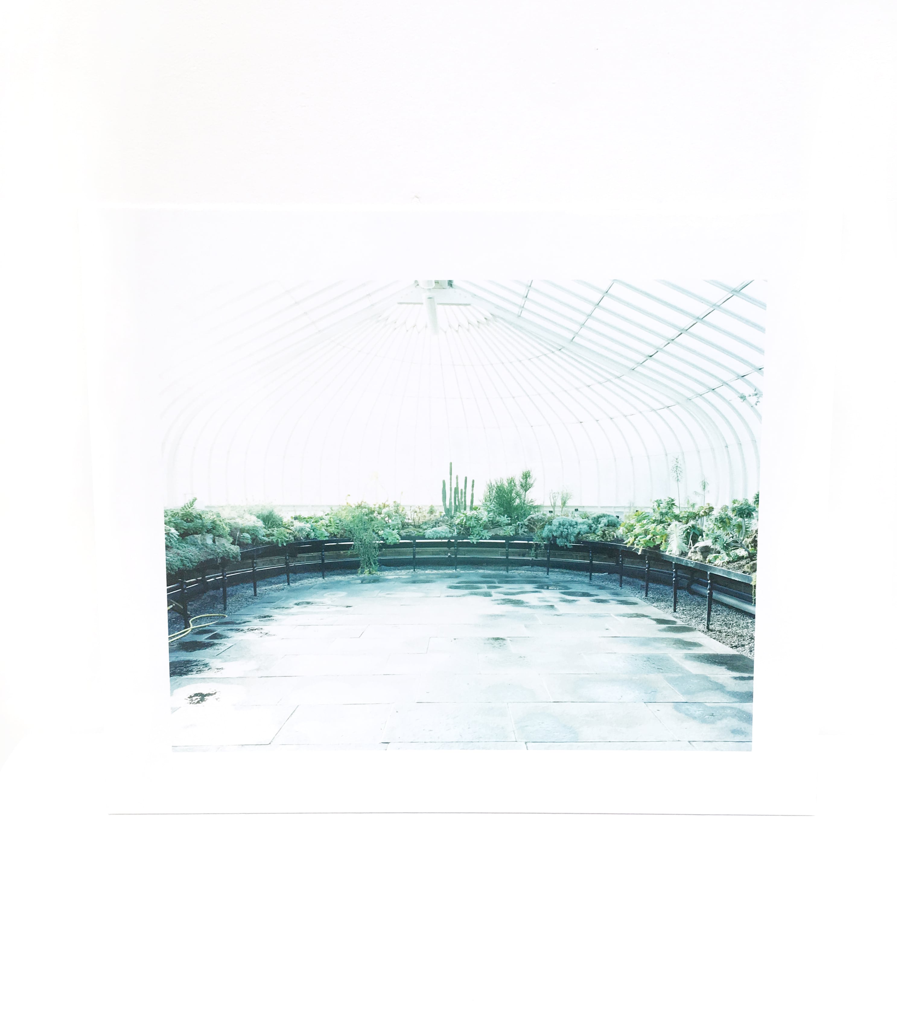 牧野智晃 写真集「Daydream」 サイン入り | art shop / nap store