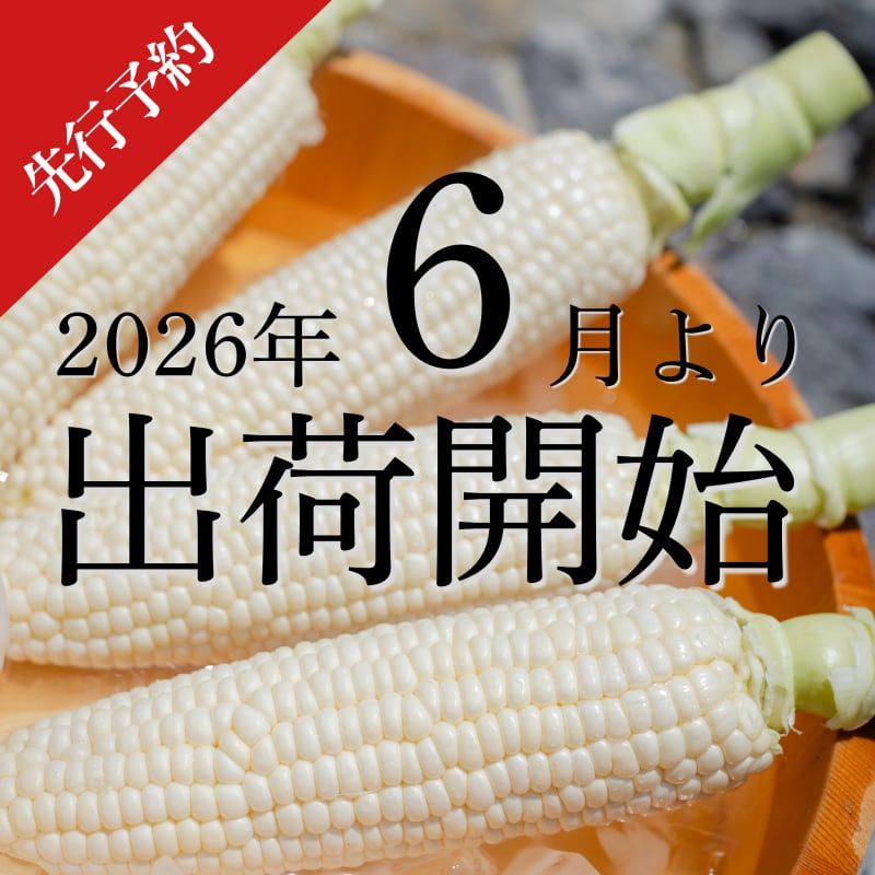 【 2026年6月以降出荷 】《ご家庭用》しこみちゃん5袋